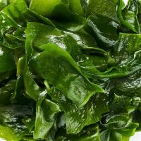 fucoxanthin-rich-seaweed